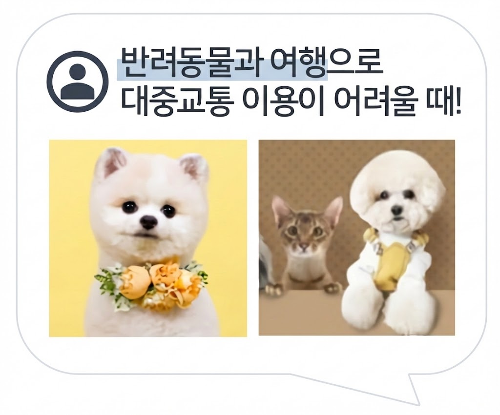 사업소개 이미지 7